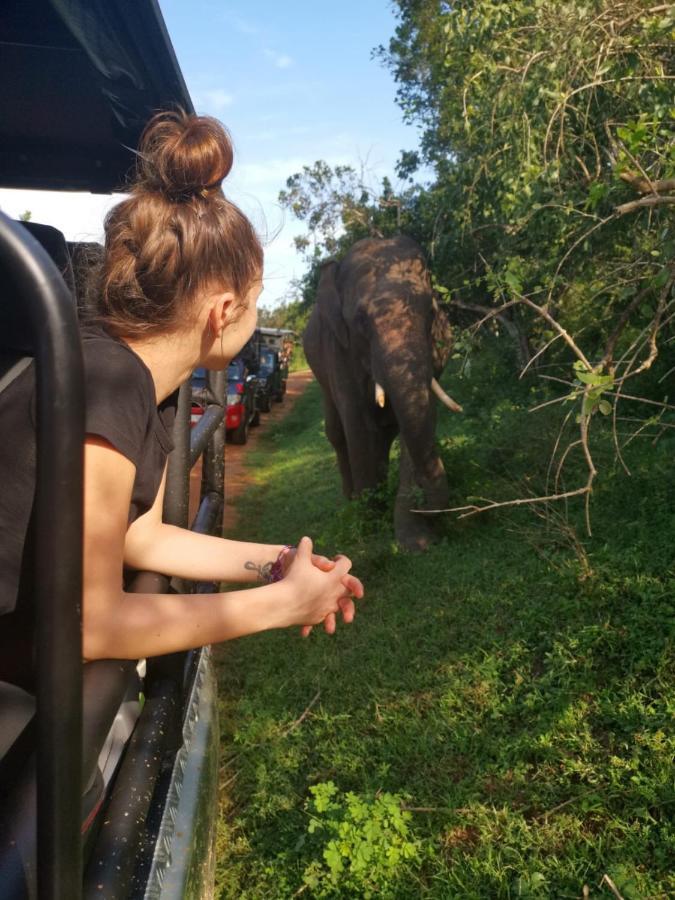 Lavender Home Yala Safari 티사마하라마 외부 사진